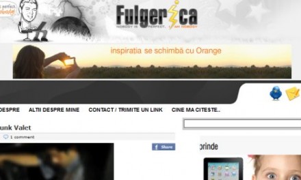 Analiza fulgerica.com